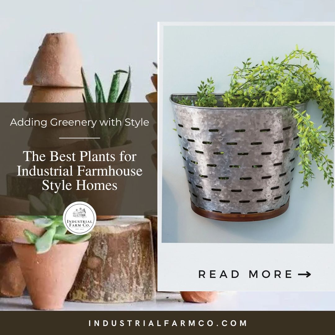 The Best Plants for Industrial Farmhouse Style Homes: Adding Greenery with Style