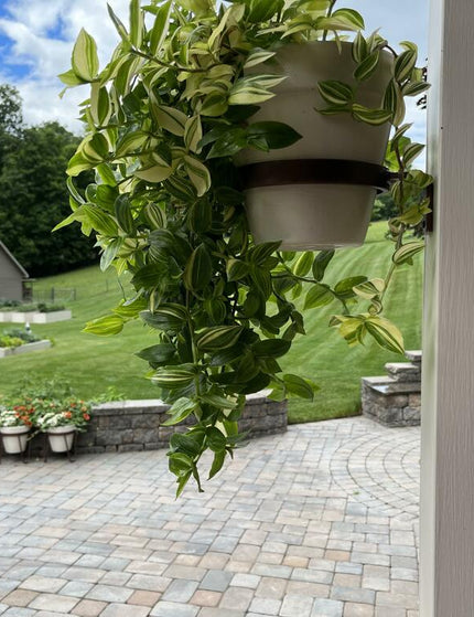 The Hudson Wall Mounted Potholder