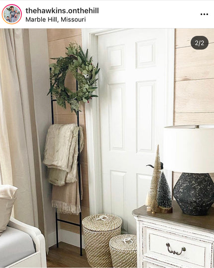 The Lynn Metal Ladder