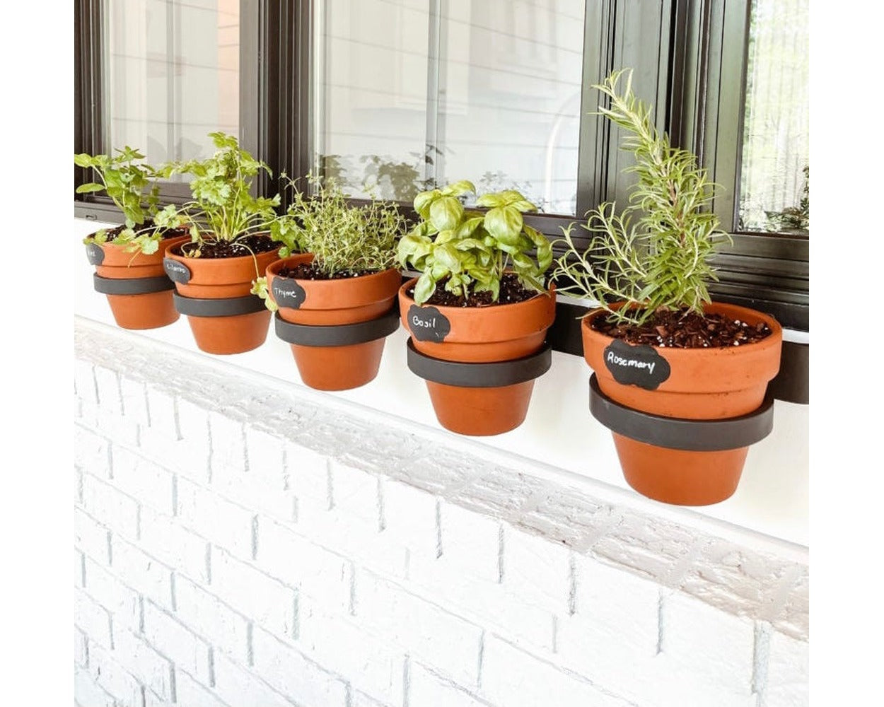 indoor plant pots wall hanging Yonkers Steel Wall Planter - Horizontal Plant Holder