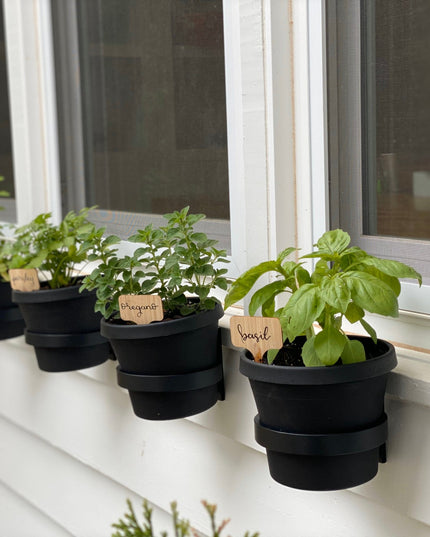 The Hudson Wall Planter Ring