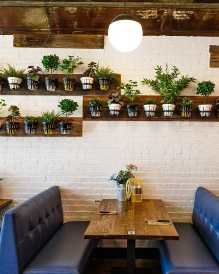 The Hudson Wall Planter Ring