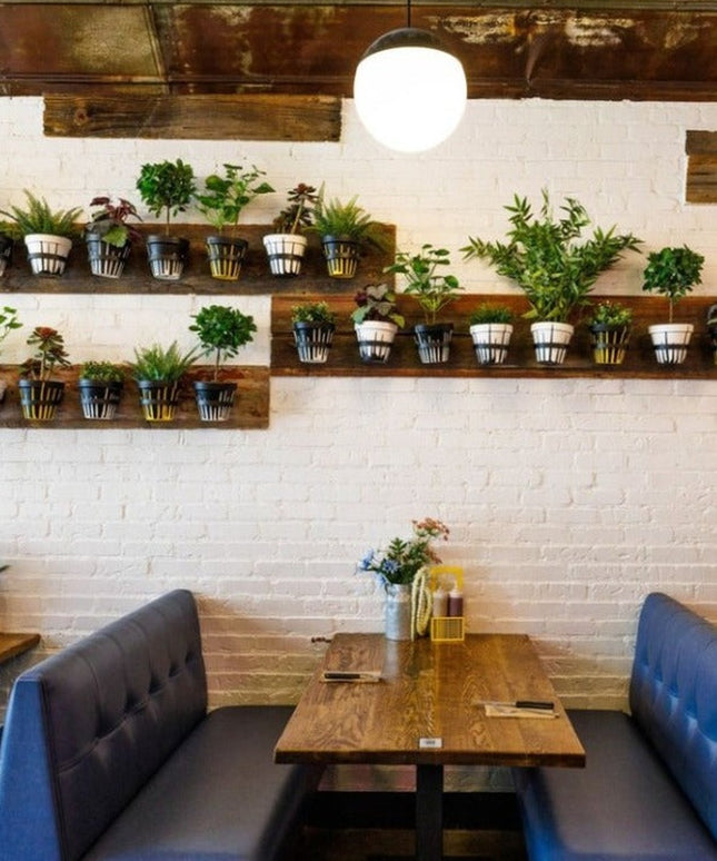 The Hudson Wall Planter Ring by Industrial Farm Co displaying potted plants on wooden floating shelves in modern restauran...