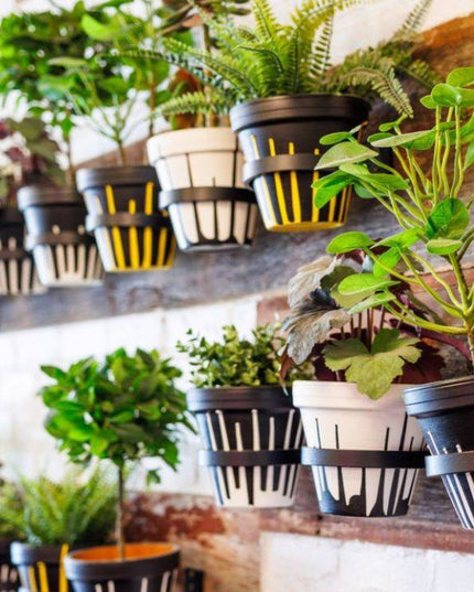 The Hudson Wall Planter Ring