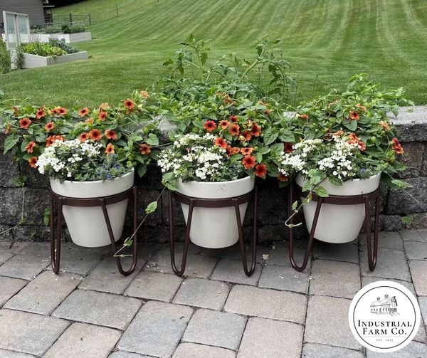 The Dorio Raised Planter