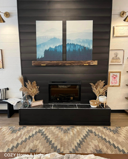 Modern living room with black fireplace, decorative plants, and wall art.