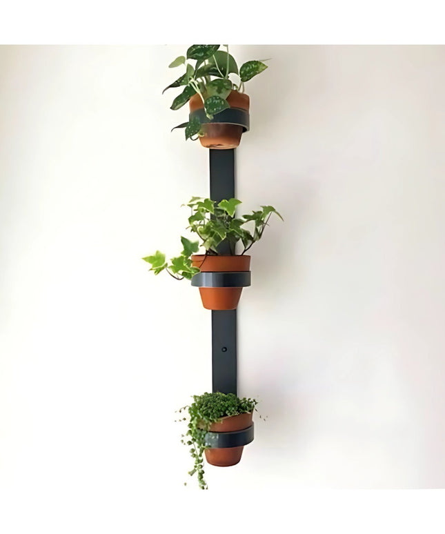 Watertown black metal wall mount vertical planter with three terracotta pots holding green plants against white wall by In...