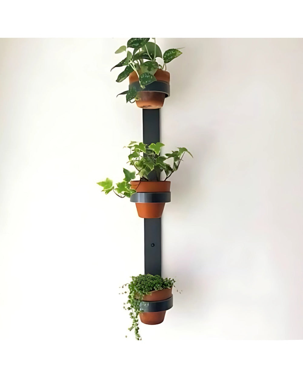 industrial pots for plants Watertown Vertical Planter — Steel Wall Mount