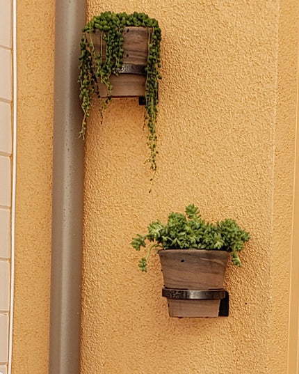 The Hudson Wall Planter Ring