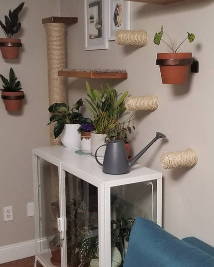 The Hudson Wall Planter Ring