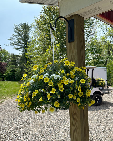 The Gregory Shepherd Hook