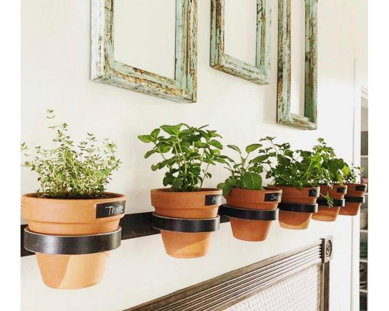 hanging wall plant pots Yonkers Steel Wall Planter - Horizontal Plant Holder