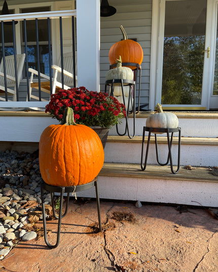 The Dorio Raised Planter