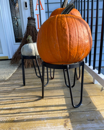 The Dorio Raised Planter