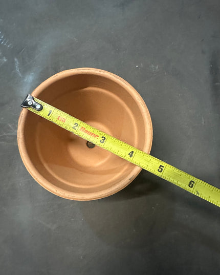 The Watertown Wall Mount Vertical Planter