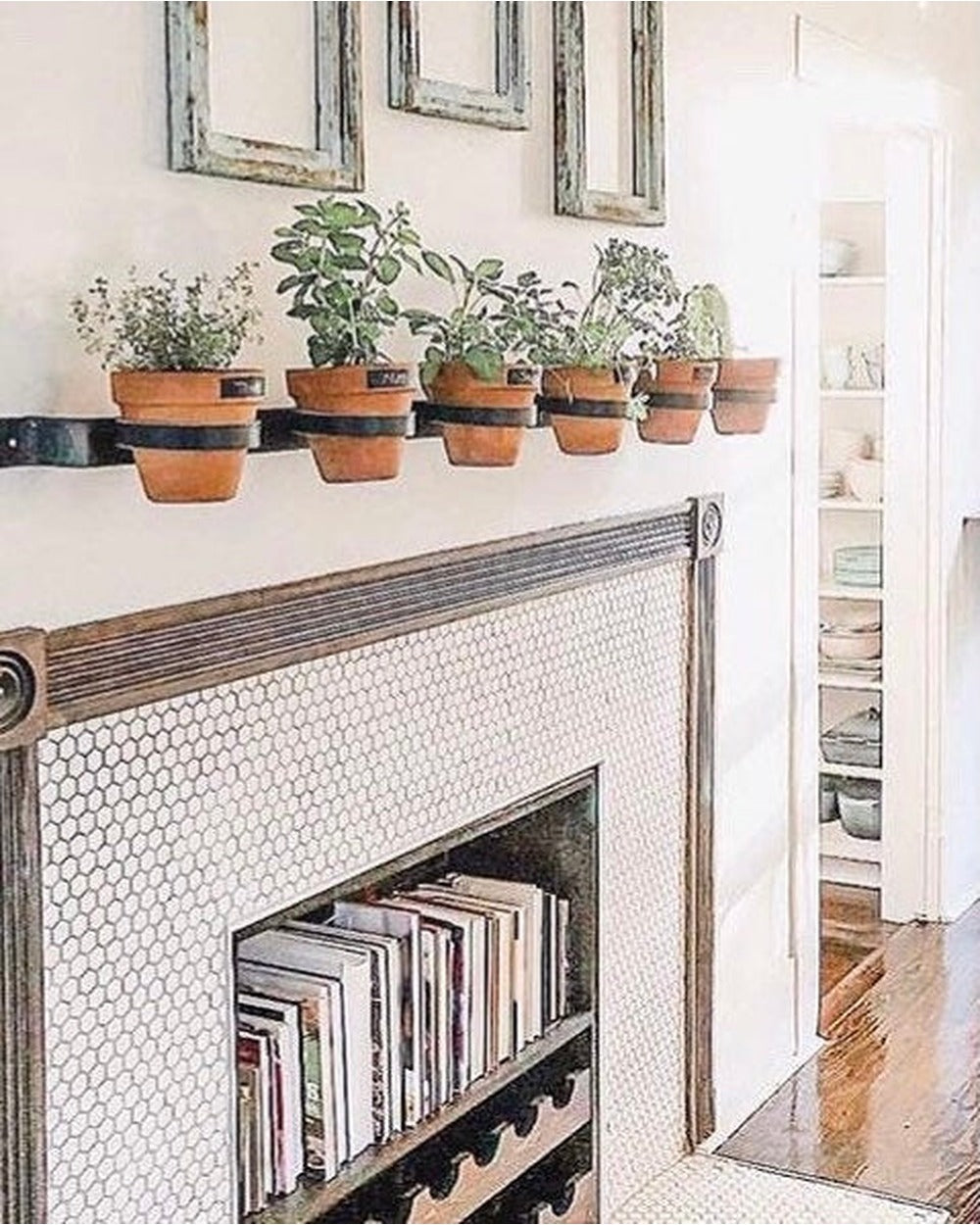 horizontal hanging planter Yonkers Steel Wall Planter - Horizontal Plant Holder