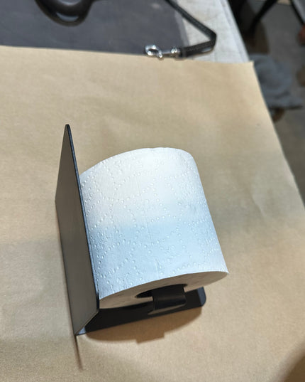 The Cazenovia Toilet Paper Holder With Shelf