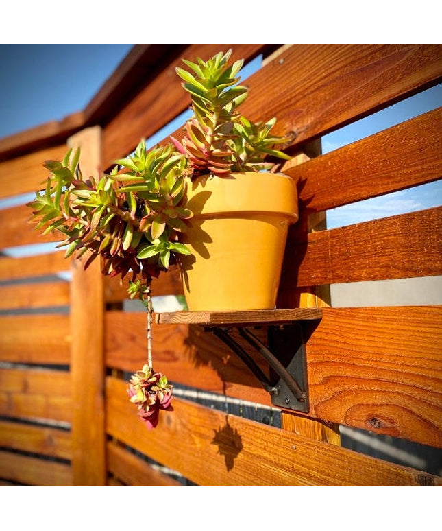 The Sawmiller Shelf Bracket