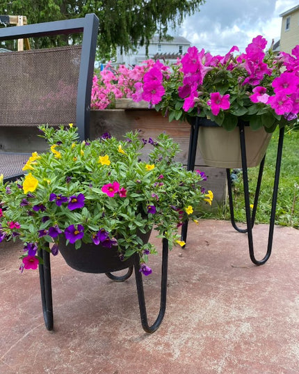 The Dorio Raised Planter