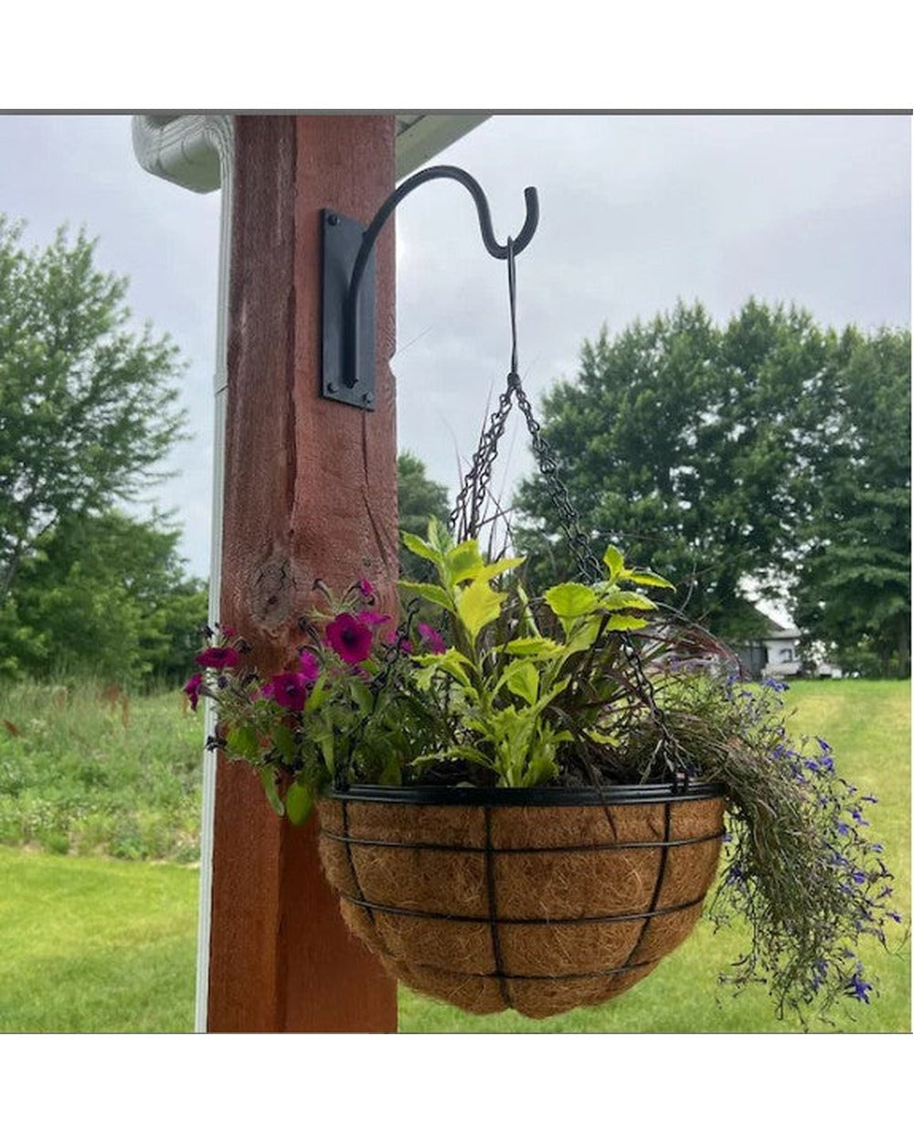 The Gregory Shepherd Hook — Heavy Duty Steel Garden Hook for Hanging Baskets & Planters, Outdoor, Made in USA
