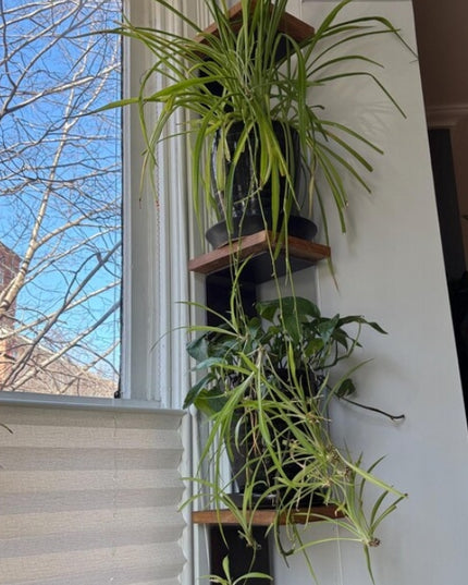 The Elbridge L Shelf Bracket – 6" Wide Heavy Duty Steel Support