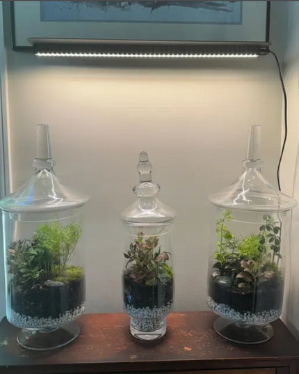 Houston Metal Wall Shelf