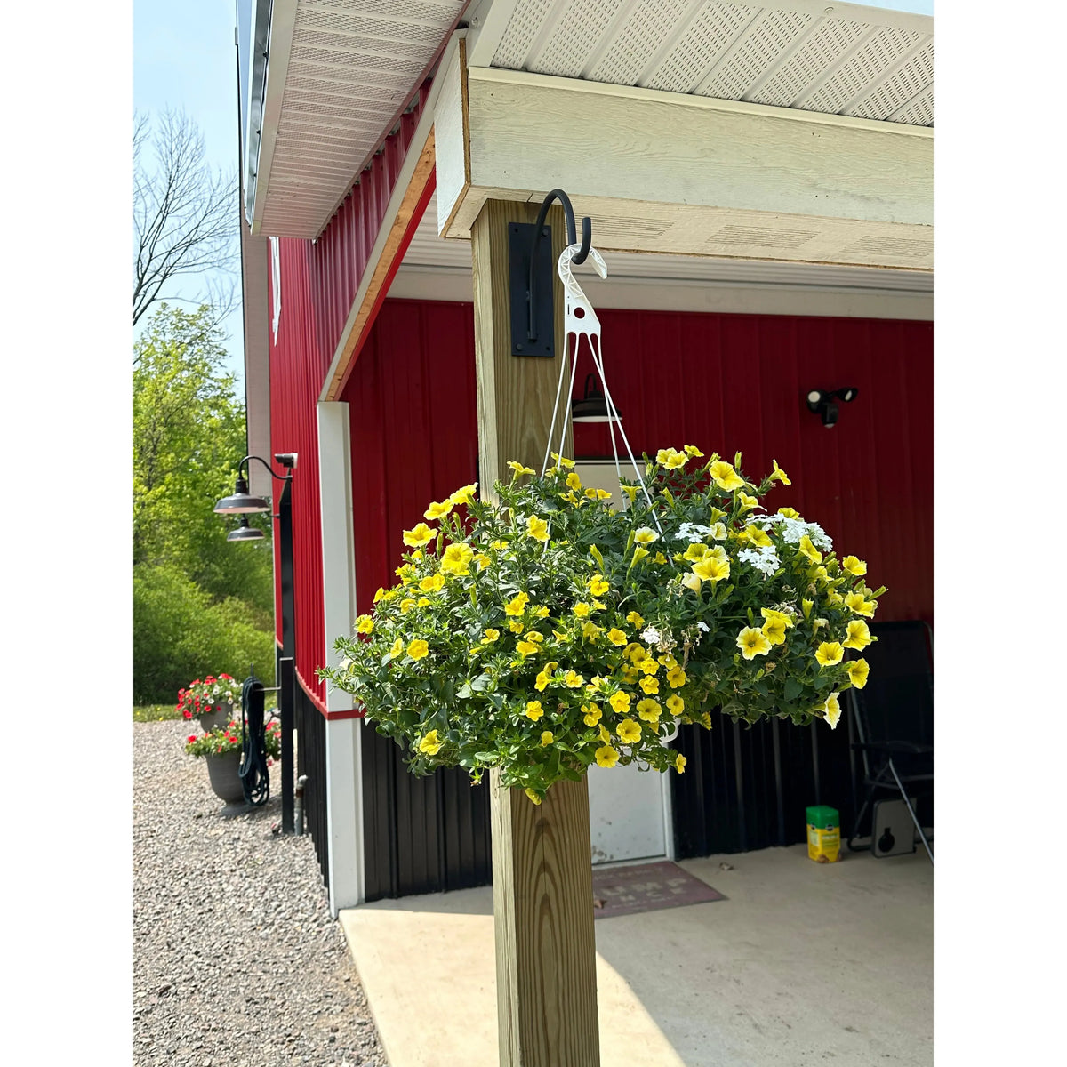 Shepherd's hooks hanging a flower basket.