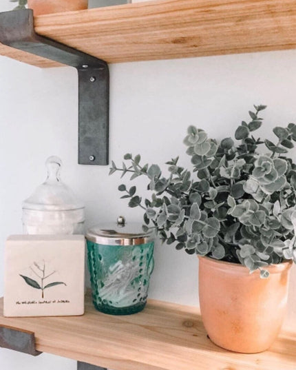 The Auburn Z Open Shelf Support