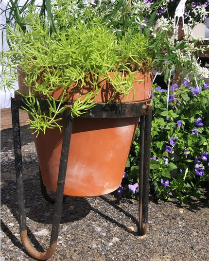 The Dorio Raised Planter