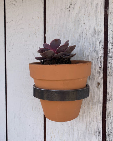 The Hudson Wall Planter Ring