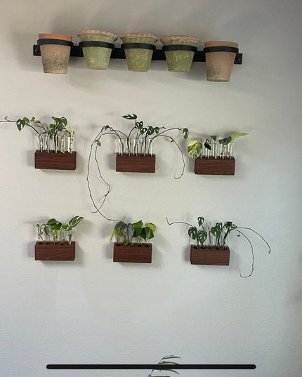 wall plant hanger metal Yonkers Steel Wall Planter - Horizontal Plant Holder