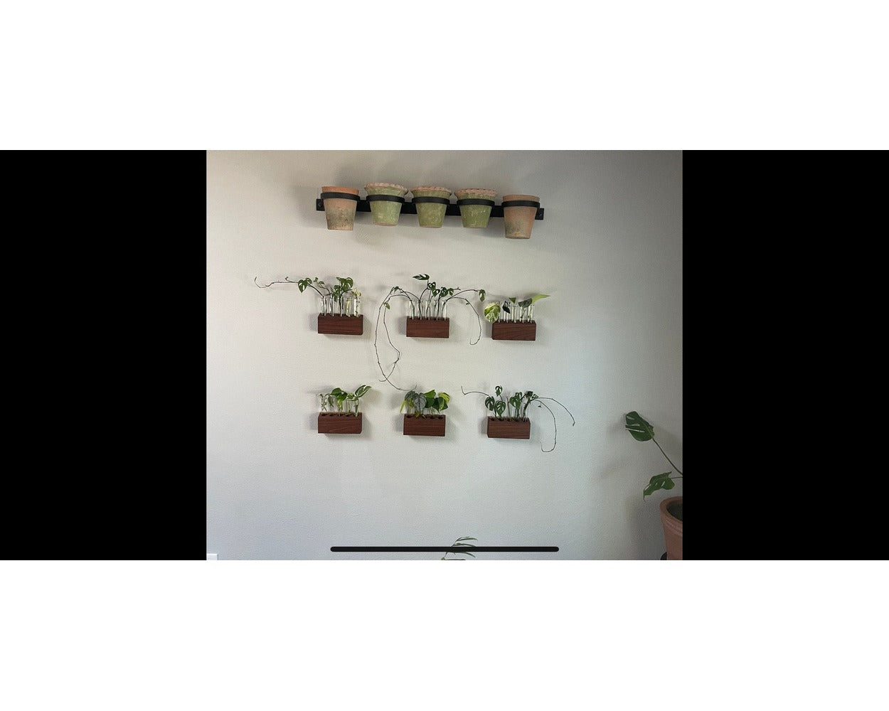 wall mounted wrought iron plant pot holders Yonkers Steel Wall Planter - Horizontal Plant Holder
