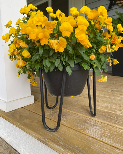 The Dorio Raised Planter