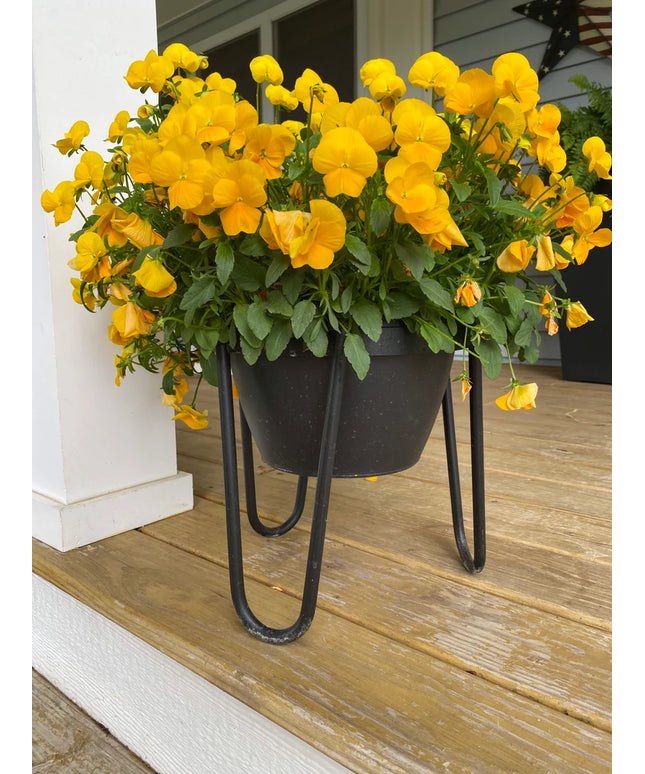 The Dorio Raised Planter