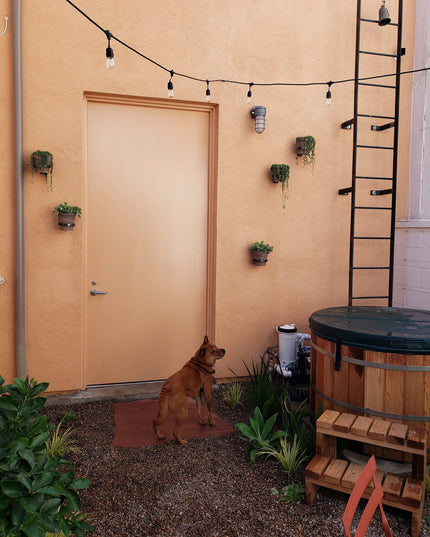 The Hudson Wall Planter Ring