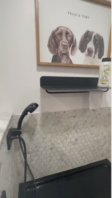 Houston Metal Wall Shelf