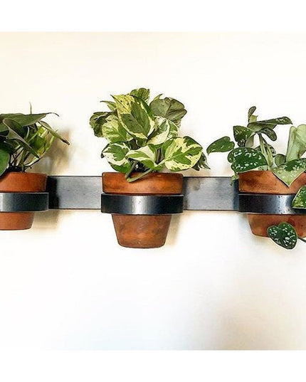 iron wall plant pot holders Yonkers Steel Wall Planter - Horizontal Plant Holder
