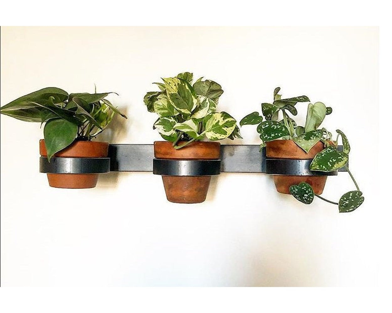 indoor wall mounted plant pots Yonkers Steel Wall Planter - Horizontal Plant Holder