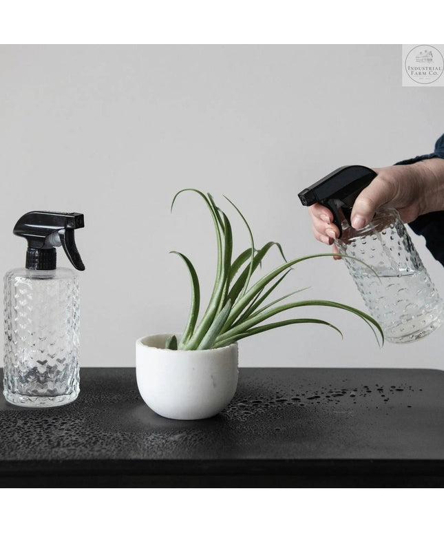 Embossed Glass Spray Bottle  Dots   | Industrial Farm Co