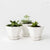 Mini Octagon Porcelain Planter Planter Default Title   | CONVIVIAL