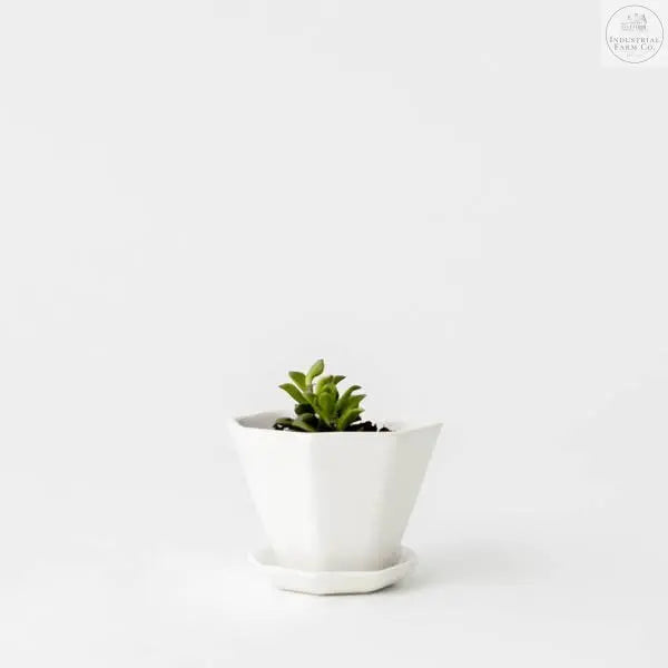 Mini Octagon Porcelain Planter Planter    | CONVIVIAL