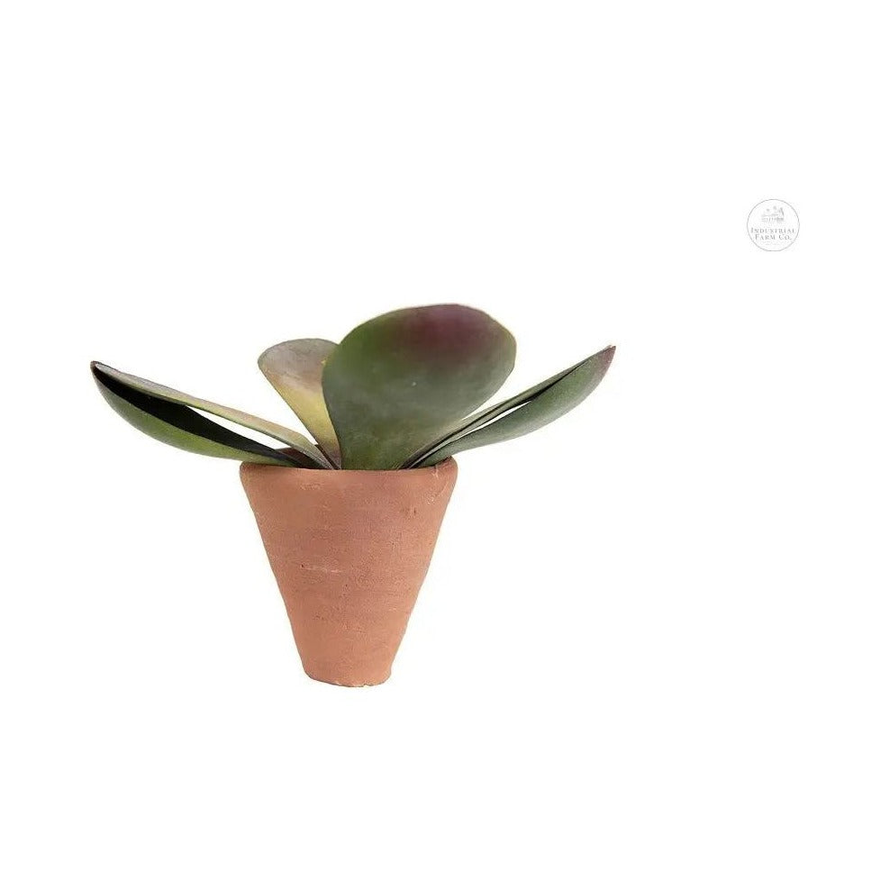 3&quot; Mini Terra-Cotta Sprig Planter Planter    | Creative Co-op