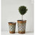 Rustic Olive Buckets (Set of 2)  Default Title   | Industrial Farm Co