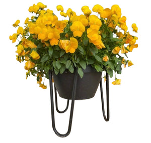 The Dorio Raised Planter | Industrial Farm Co