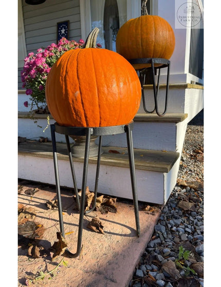 The Dorio Raised Planter Planter 6" Depth 8" Tall | Industrial Farm Co