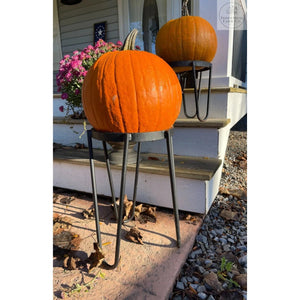 The Dorio Raised Planter | Industrial Farm Co