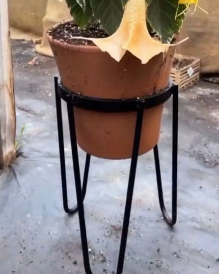 The Dorio Raised Planter Planter 6" Depth 12" Tall | Industrial Farm Co