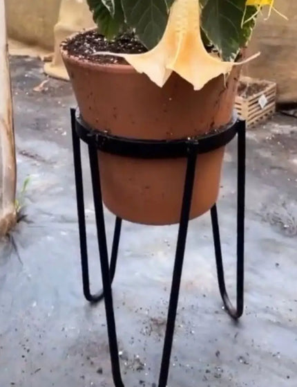 The Dorio Raised Planter Planter 6" Depth 12" Tall | Industrial Farm Co