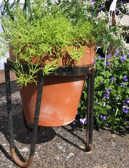 The Dorio Raised Planter Planter 6" Depth 12" Tall | Industrial Farm Co