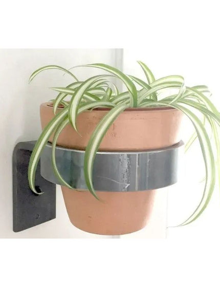 The Hudson Wall Mounted Potholder Plant Holder 4" Pot Finish Gold Powder Coat | Industrial Farm Co